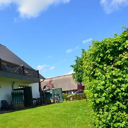 公寓 Ferienwohnung-hiddensee-in-gross-zicker-halbinsel-moenchgut Groß Zicker