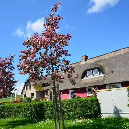 公寓 Ferienwohnung-hiddensee-in-gross-zicker-halbinsel-moenchgut Groß Zicker